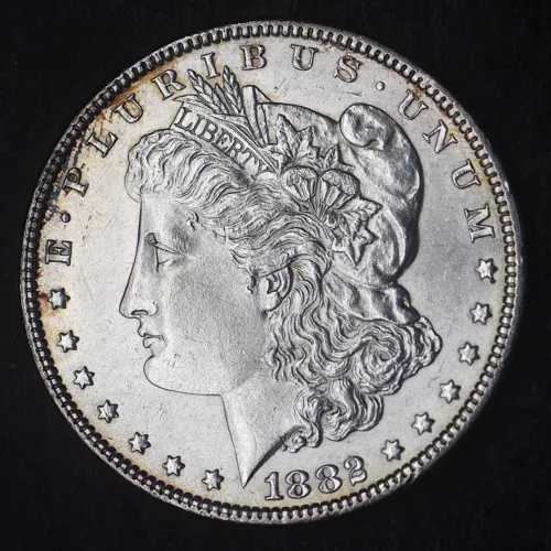 1882-P 「ハイグレード」 モルガン銀貨 1ドル - コインジャント -