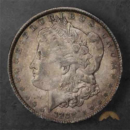 1889年 モルガン銀貨 1ドル - フィラデルフィア