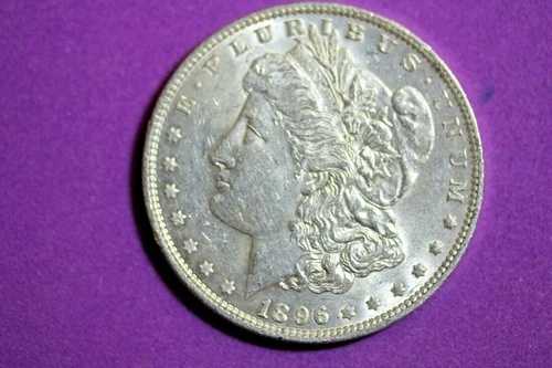 1896年製モルガン銀貨を発見!!! #K9945