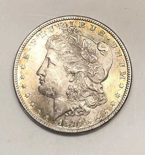 1880年代-S モルガン銀貨 ~ 未流通 胸羽根飾り 美しい古色