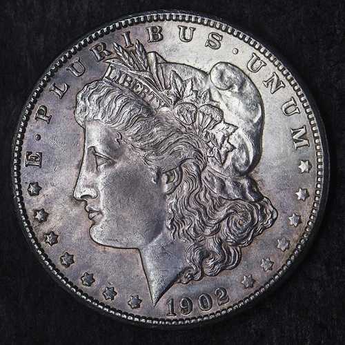 1902-O「パープルトーン、高品位」モルガン銀貨 1ドル - COINGIANTS -