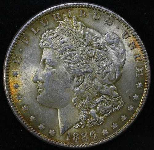 1886年 1ドル モーガン銀貨 ～ 極美品（未使用、トーンあり）#20｜WORLD RESOURCE【QUEEN店】