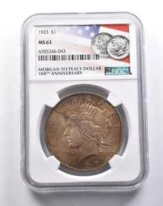 MS63 1923年ピース銀貨 100周年記念 NGC アメージングカラー *3137｜WORLD RESOURCE【QUEEN店】