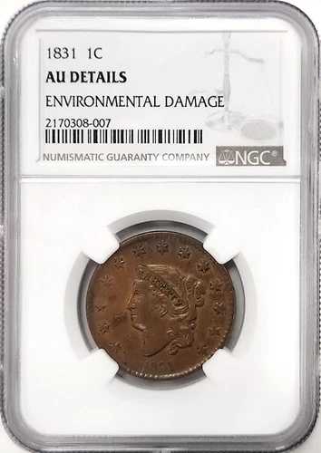 1831年 コロネットマトロンヘッドラージセントNGC AUディテール環境ダメージ-｜WORLD RESOURCE【QUEEN店】