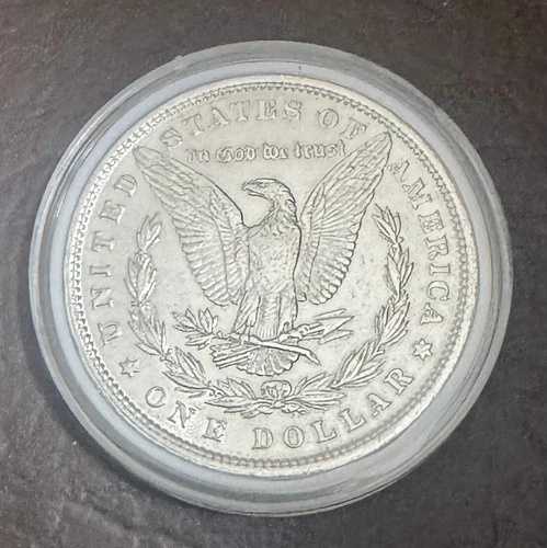 1880年モルガン銀貨|WORLD RESOURCE【QUEEN店】