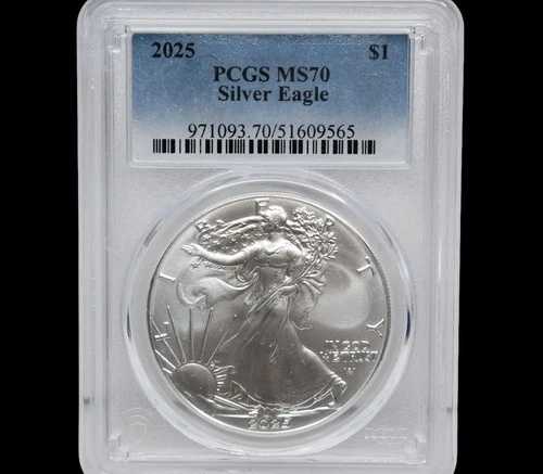 2025年Pミント シルバーイーグル PCGS MS70 #51609565|WORLD RESOURCE【QUEEN店】