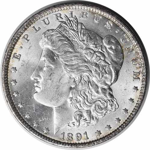 1891年 モーガン銀貨 チョイスBU 未鑑定品 #128｜WORLD RESOURCE【QUEEN店】
