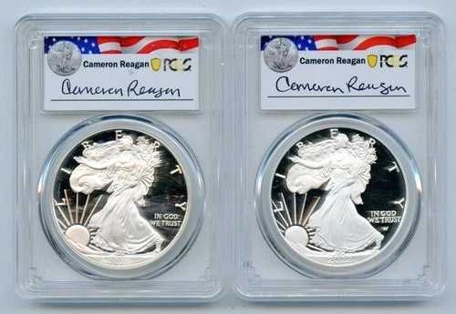 2021-W タイプ1 & 2022-W タイプ2 プルーフ アメリカンシルバーイーグル 1オンス PCGS PR69 DCAM｜WORLD RESOURCE【QUEEN店】