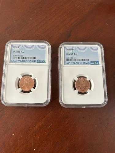 2025年 P&D リンカーンシールドセント NGC MS66 2枚組ペニーセット ビジネス 昨年 ブルー｜WORLD RESOURCE【QUEEN店】