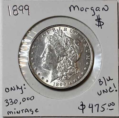 1899年モーガン銀貨 $1 発行枚数わずか33万枚!! より良い日付!!｜WORLD RESOURCE【QUEEN店】