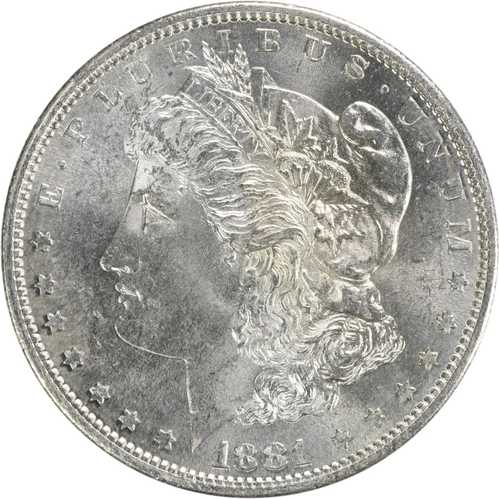 1881年Sミント モーガン銀貨 チョイスBU 未鑑定品 #334｜WORLD RESOURCE【QUEEN店】 44,330円