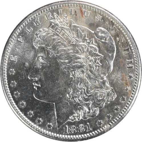 1881年Sミント モーガン銀貨 チョイスBU 未鑑定品 #314｜WORLD RESOURCE【QUEEN店】