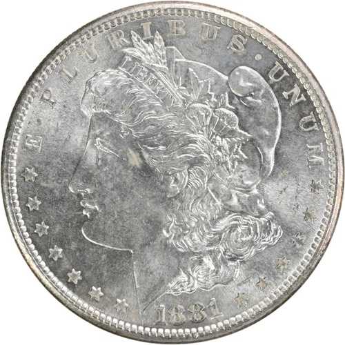 1881年Sミント モーガン銀貨 極美品 未鑑定品 #351｜WORLD RESOURCE【QUEEN店】 44,330円