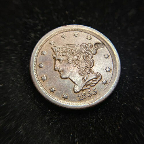 1855 年製 編み込みヘア ハーフセント 未流通 BU UNC MS Cohen バラエティ オファーを!|WORLD RESOURCE【QUEEN店】
