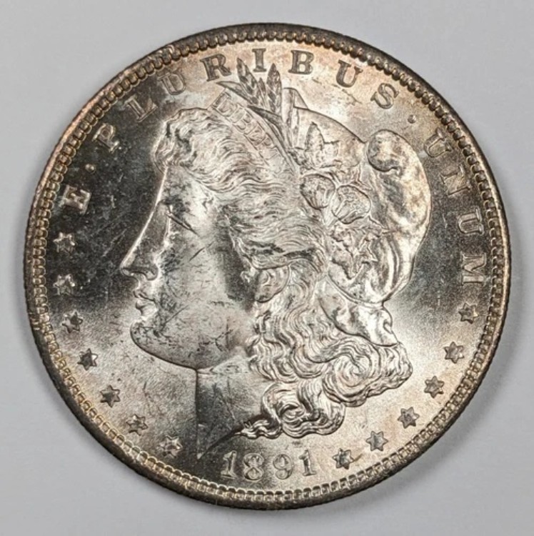 1891 S モルガン銀貨 UNC｜WORLD RESOURCE【QUEEN店】