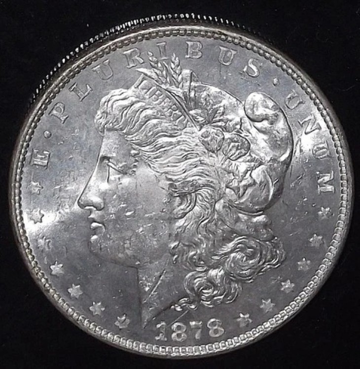 1878年 モルガン・ダラー 8 TF チョイス BU/MS/UNC|WORLD RESOURCE【QUEEN店】