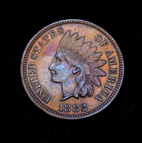 1882年インディアンヘッドセントUNC｜WORLD RESOURCE【QUEEN店】