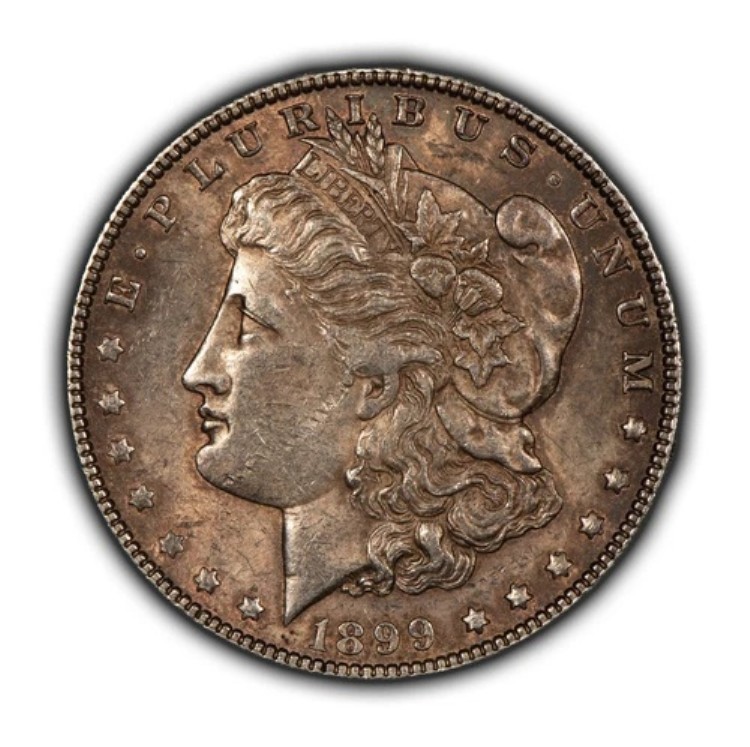 1899年 1ドル モルガン銀貨 - AU/UNC キーデート - Stg ラスター w パティナ - SKU-B4242｜WORLD RESOURCE【QUEEN店】