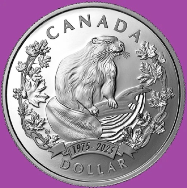 2025年カナダビーバー記念プルーフ銀貨(ミントUNC)|WORLD RESOURCE【QUEEN店】