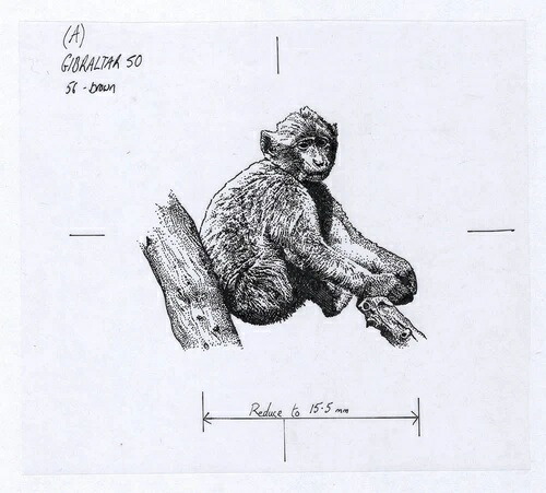 ジブラルタル近郊 5ポンド札の裏面に描かれた猿の写真 2000年 P29「透明性証明」|WORLD RESOURCE【QUEEN店】