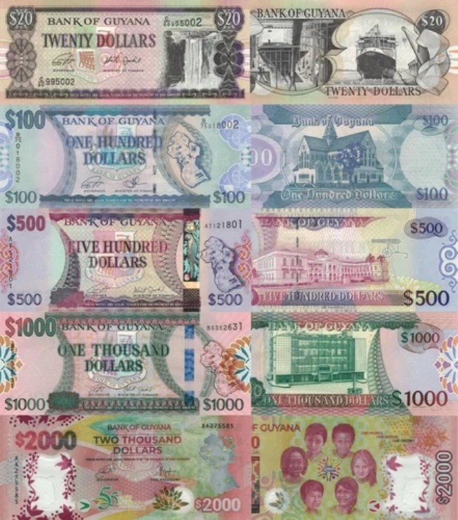 ガイアナ 5ピースセット:20~2000ドル(2019~2021年) - p30g、p36c、p37b、p39b、p-New UNC|WORLD RESOURCE【QUEEN店】
