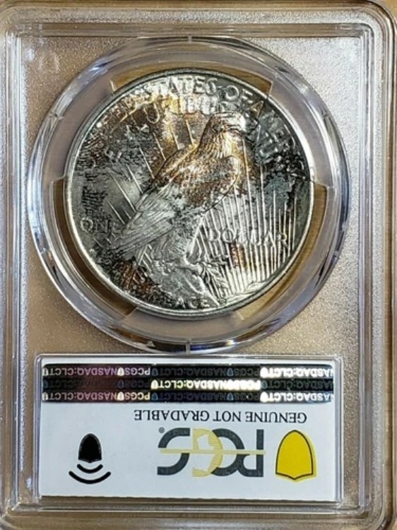 1923年 DシルバーピースダラートーンPCGS UNCディテール8010|WORLD RESOURCE【QUEEN店】