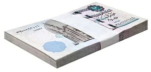 エジプト 10ポンド 2022年 P-73h UNC 署名と日付入り 100枚セット｜WORLD RESOURCE【QUEEN店】