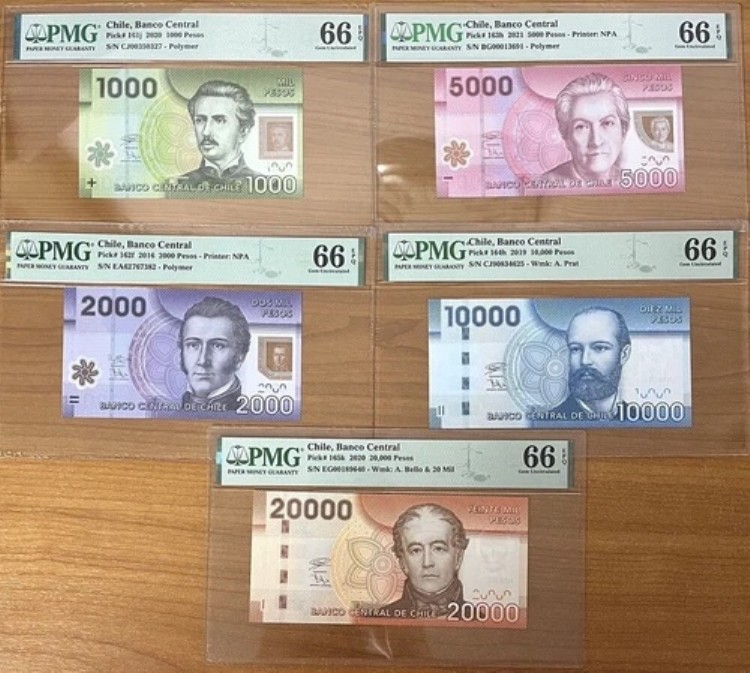チリ セット 5; 1000-5000 10K 20K ペソ 2016-2021 P 161- P 165 Gem UNC PMG 66 EPQ|WORLD RESOURCE【QUEEN店】