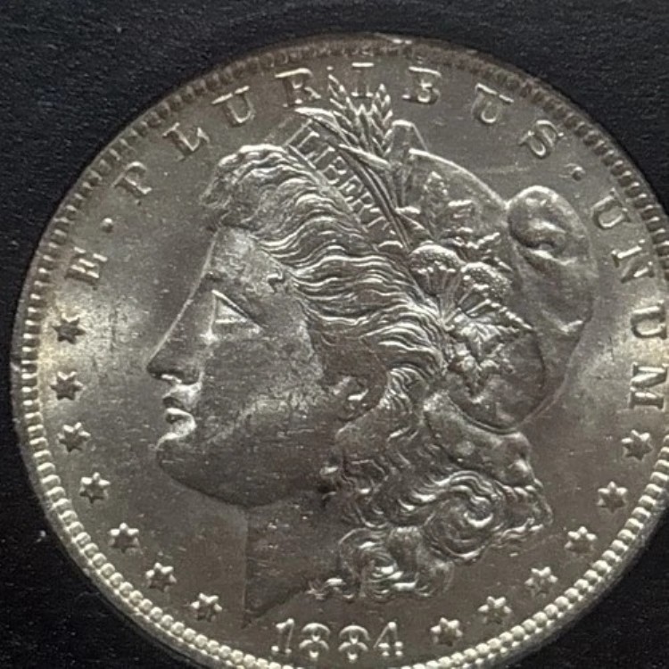 1884-O モルガン・ダラー、Vam - 20 Choice BU Great Eye Appeal UNC｜WORLD RESOURCE【QUEEN店】 68,365円