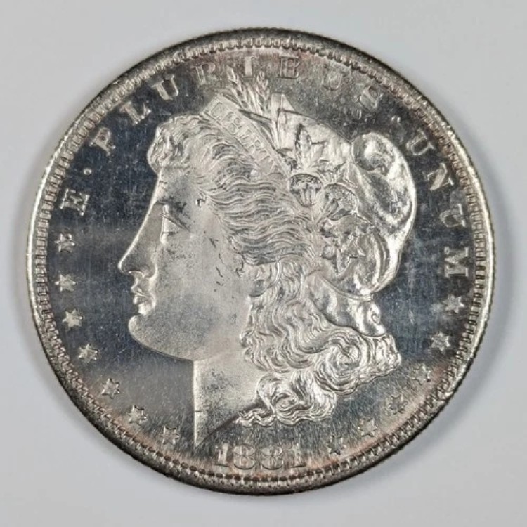 1881 S モーガン シルバー ダラー チョイス UNC｜WORLD RESOURCE【QUEEN店】