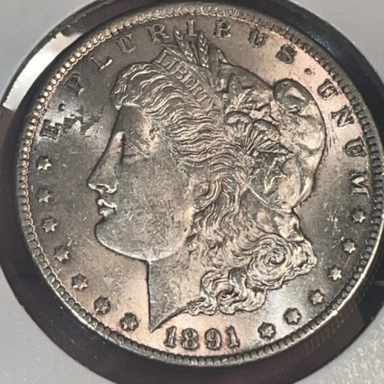 * 1891-CC * ソリッド BU MS UNC モルガン シルバー ドル * オリジナルコレクションより｜WORLD RESOURCE【QUEEN店】