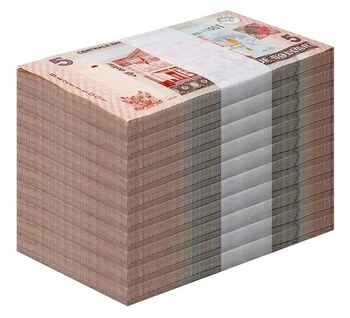 スリナム 5ドル、2009年、P-157c、UNC X 1000 PCS|WORLD RESOURCE【QUEEN店】