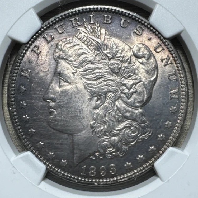 1893年 P NGC UNC 詳細、人工調色 モルガン銀貨 1ドル｜WORLD RESOURCE【QUEEN店】