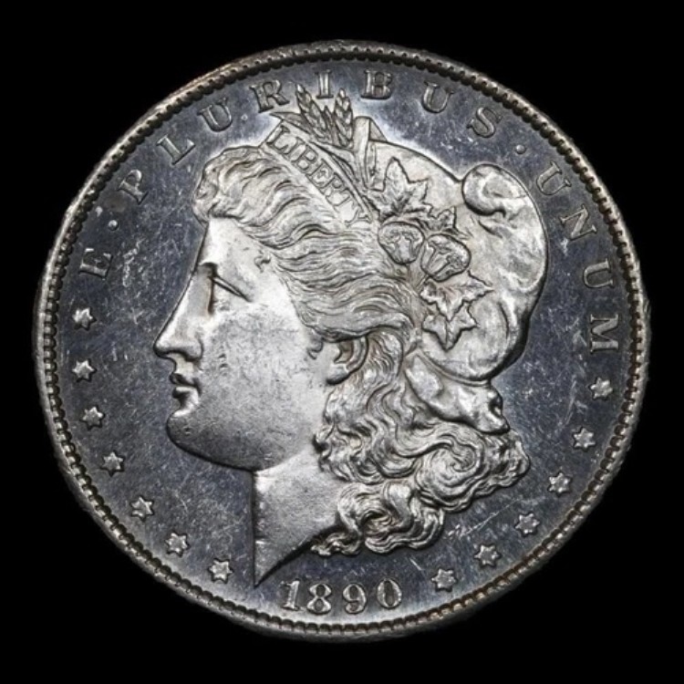 1890年代 モルガン・ダラー 1ドル * 日付良好 * GEM Unc + DMPL * 非常に深いミラー｜WORLD RESOURCE【QUEEN店】