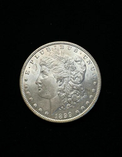 BU UNC 1899 モルガン銀貨(問題なし、未使用)|WORLD RESOURCE【QUEEN店】