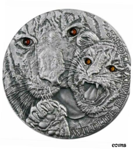 週末値下げ 阪神タイガース 2003年 セ•リーグ優勝 記念純銀メダル120g 081871_5.jpg