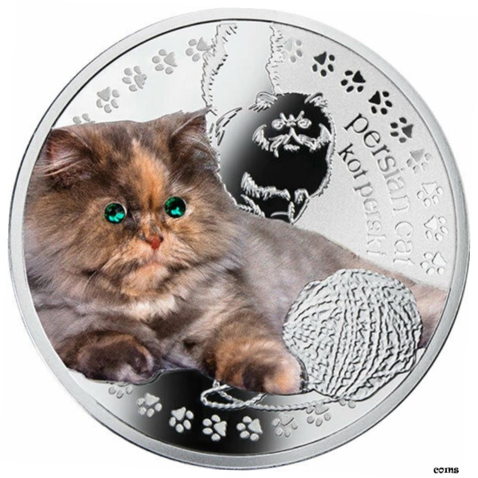 楽天市場】カザフスタン マヌルネコ Felis manul フェリス