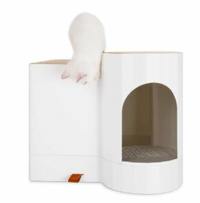 ネコ用品 ドーム型トイレ 猫用トイレペット ペットグッズ フルカバータイプ 見えない 隠す おしゃれ オシャレ キャットトイレ 海外輸入雑貨 インテリア雑貨 ほんたい ねこ用品 お洒落 猫トイレ本体 フルカバー カバー おしゃれ キャットトイレ 猫用品 グッズ リゾート ネコ用品 ドーム型トイレ 猫用トイレペット ペットグッズ フルカバータイプ 見えない 隠す おしゃれ オシャレ キャットトイレ 海外輸入雑貨 インテリア雑貨 ほんたい ねこ用品 お洒落 猫トイレ本体 フルカバー カバー おしゃれ キャットトイレ 猫用品 グッズ リゾート