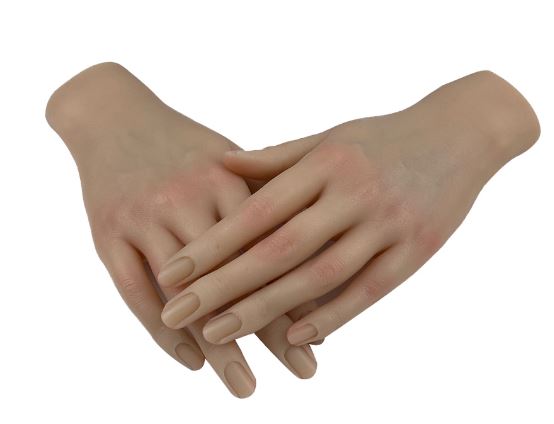 ネイル工芸用事見識 ネイリスト 画稿 手蹟 儀範 御手手 マネキン人形 実際的 ケイ素樹脂 Color 1 両手 クオンティティーさ29cm 送料無料 輸入品 Cannes Encheres Com