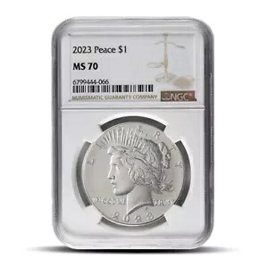 2023 ピース シルバー ダラー コイン NGC MS70 75,020円