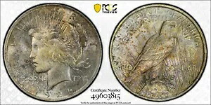 トーン 1923 P MS 63 ピース シルバー ダラー PCGS グレード認定本物のスラブ 271｜WORLD RESOURCE【KING店】