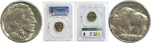 1913-S T-1 5C バッファロー ニッケル PCGS MS-64｜WORLD RESOURCE【KING店】