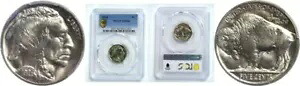 1926 5C バッファロー ニッケル PCGS MS-66｜WORLD RESOURCE【KING店】