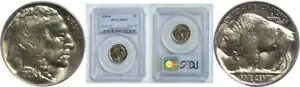 1928-D 5C バッファロー ニッケル PCGS MS-65|WORLD RESOURCE【KING店】