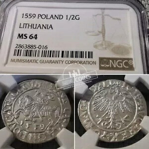リトアニア - ジギスムント アウグストゥス - 1/2 グロス - 1559 年 - NGC MS64