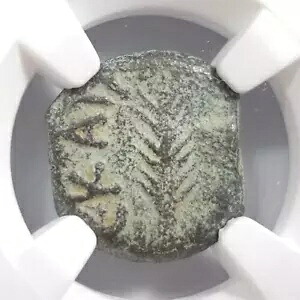 ポルシウス・フェストゥス・ユダヤAE・プルタNGC・VF・アンダー・ネロ・パーム支店 聖書のお金