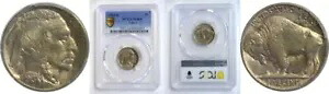 1913-D T-2 5C バッファロー ニッケル PCGS MS-64