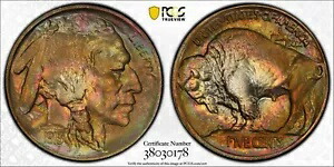 1913 バッファロー ニッケル 5C PCGS MS 66 Type1 両面ナイストーン #0178｜WORLD RESOURCE【KING店】