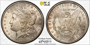 1885 S モーガン シルバー ドル 1 ドル PCGS MS 63｜WORLD RESOURCE【KING店】