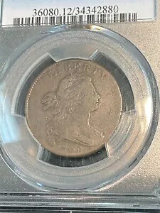 PCGS F12 1798 ドレープ バスト ラージ セント 2 番目のヘア スタイル S-170 とても素敵です｜WORLD RESOURCE【KING店】